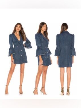 Double-Breasted Denim Mini Dress